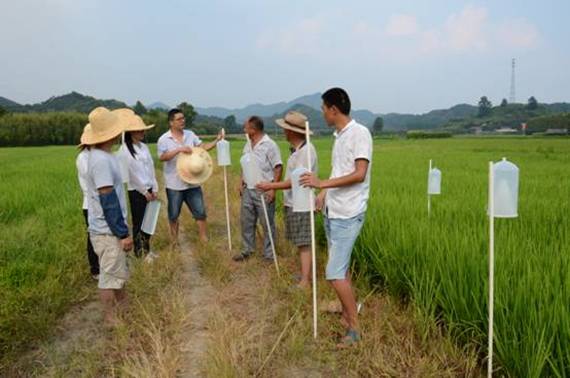 市种植业局组织农技人员深入田间地头指导农户开展水稻病虫害绿色防控